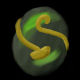 Profile Image - Click To Change