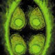 Profile Image - Click To Change