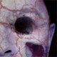 The Waking Dead