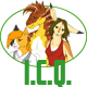 I.C.Q.