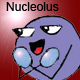 Nucleolus