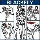 Blackfly