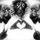 Peace, Love, & Monkeys