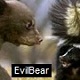 EvilBear.org