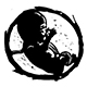 The Darkness of the Womb