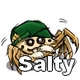 Salty: the misunderstood spider