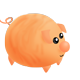 The Notti Pig