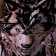 Wolf and Man