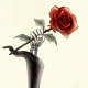 Kingdom of the Red Rose