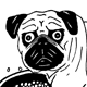 Jefferson Pugley