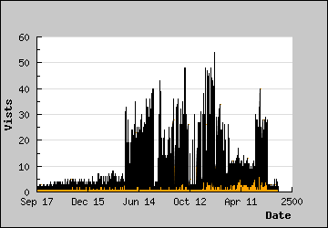 Visits Per Day