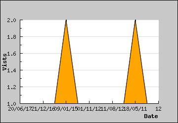 Visits Per Day