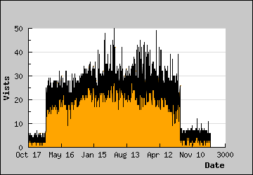 Visits Per Day