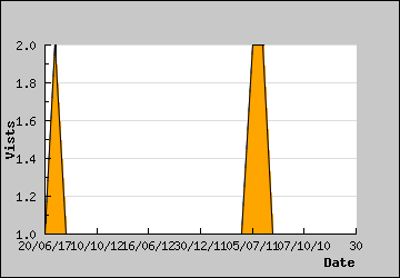 Visits Per Day