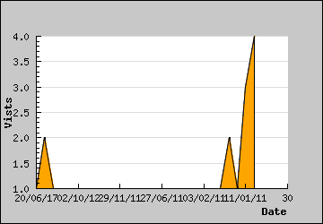 Visits Per Day