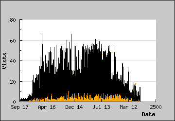 Visits Per Day