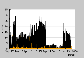 Visits Per Day