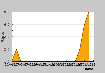 Visits Per Day