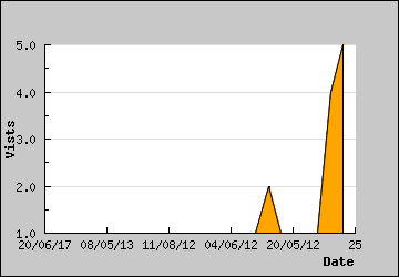 Visits Per Day