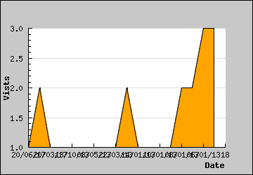 Visits Per Day