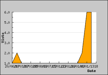 Visits Per Day