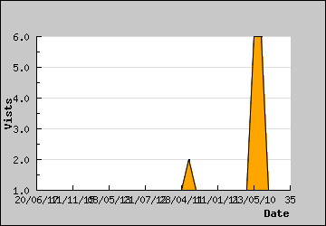 Visits Per Day