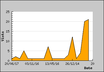 Visits Per Day