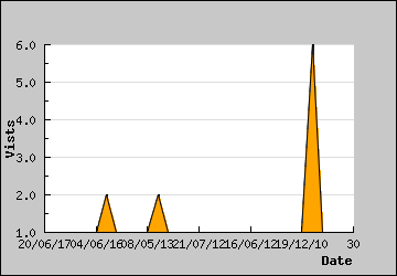 Visits Per Day