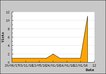 Visits Per Day