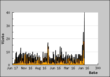 Visits Per Day