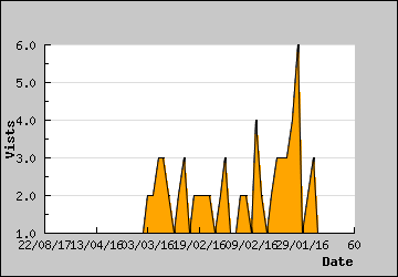 Visits Per Day