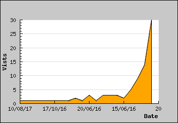 Visits Per Day