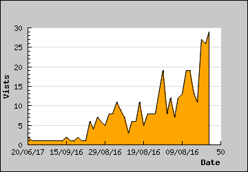 Visits Per Day