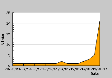 Visits Per Day
