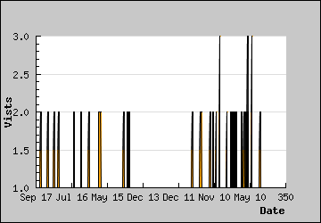 Visits Per Day