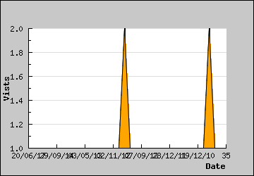 Visits Per Day