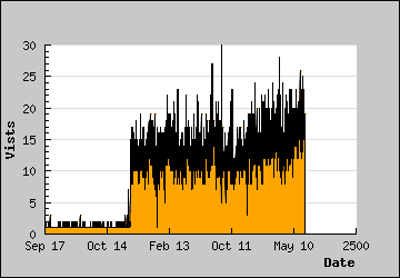 Visits Per Day