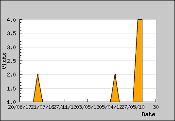 Visits Per Day